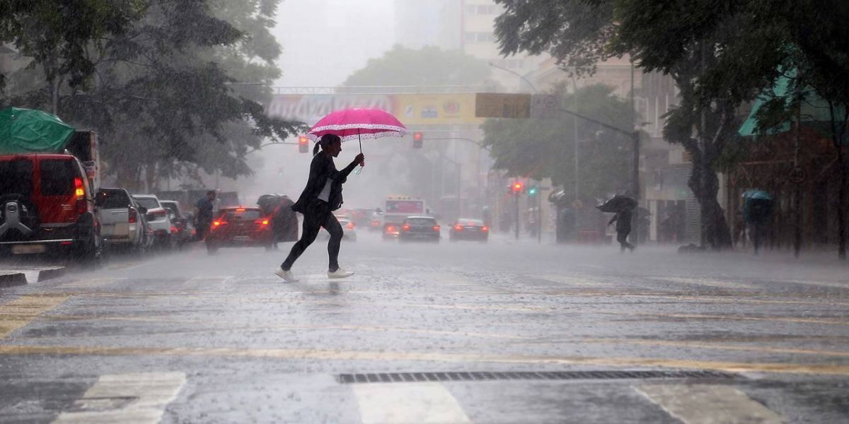 Com chuvas mais intensas, Saúde alerta para cuidados contra a leptospirose
