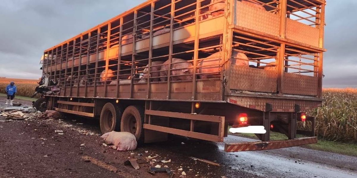 Colisão frontal na PR182 deixa condutores feridos e interdita parcialmente a pista