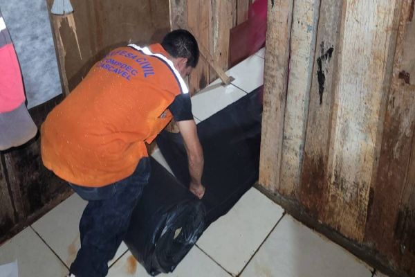 Defesa Civil de Cascavel atende chamados devido a chuva e ventos fortes