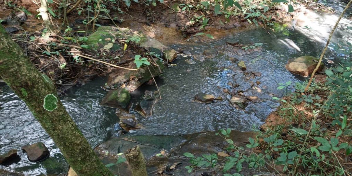 Instituto Água e Terra fiscaliza lançamento de dejetos da suinocultura na região Oeste do Paraná