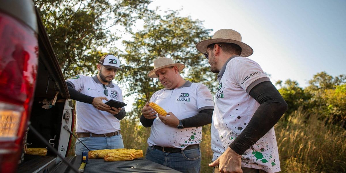 Altas produtividades marcam 20ª edição do Rally da Safra