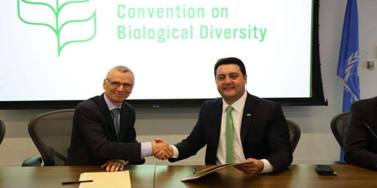 Estado firma novo acordo para neutralizar pegada de carbono de entidade da ONU