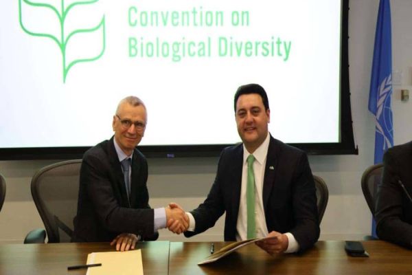 Estado firma novo acordo para neutralizar pegada de carbono de entidade da ONU