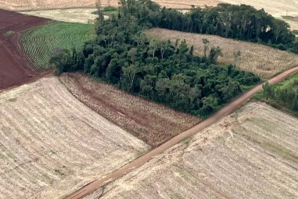 Foto relacionada a notícia: Operação do IAT identifica 17 hectares de desmatamento ilegal na região Oeste
