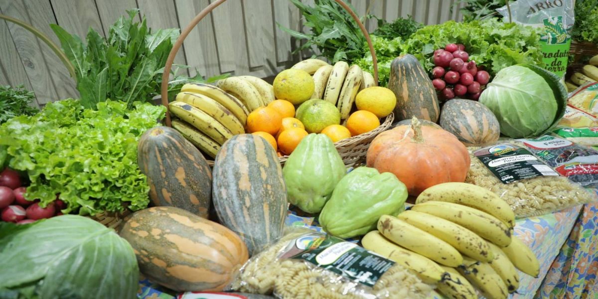 Cascavel realiza Conferência Alimentar e Nutricional