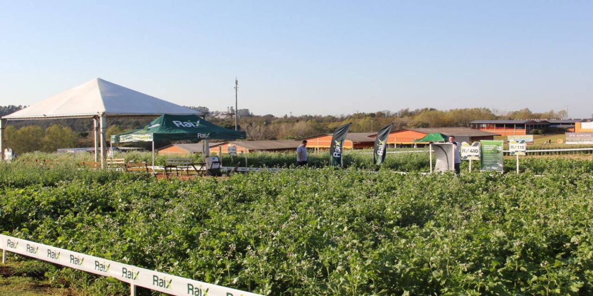 Vinte empresas terão novidades durante o Show Rural de Inverno