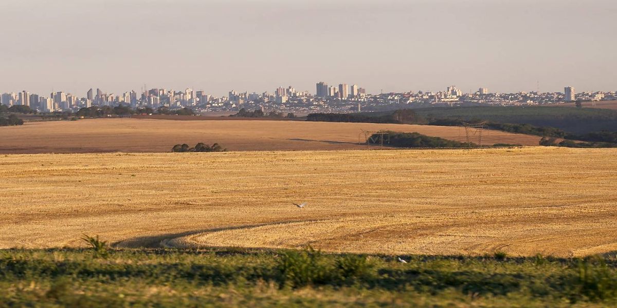 Receita destina R$ 217 milhões em créditos do ICMS a empresas e cooperativas do Oeste