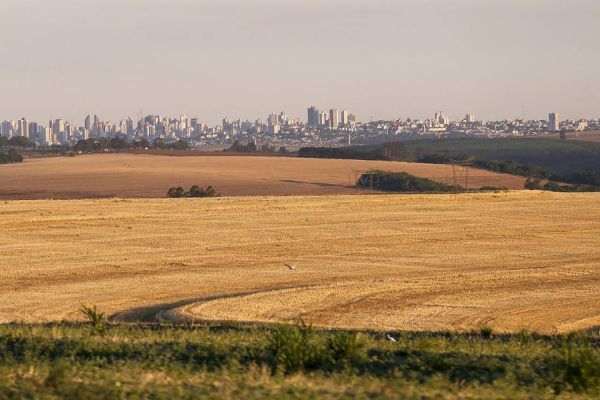 Receita destina R$ 217 milhões em créditos do ICMS a empresas e cooperativas do Oeste