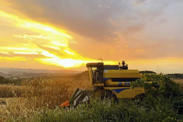 Foto relacionada a notícia: Dia do Agricultor: Setor agropecuário impulsiona crescimento e bate recorde de exportações