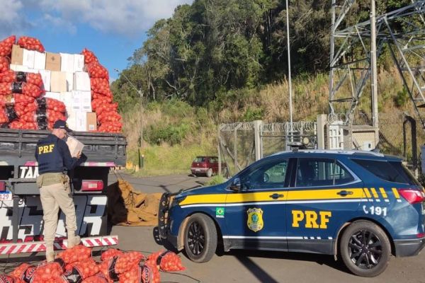 Imagem referente a notícia: PRF prende homem transportando 4500 litros de Vinho de origem estrangeira na BR-277