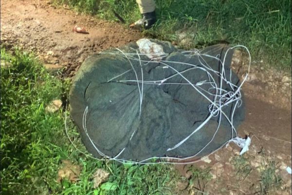 Imagem referente a notícia: Homem é brutalmente assassinado e tem corpo desovado dentro de rio no noroeste do Paraná