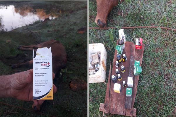 Proprietário de Sítio apresenta justificativa após denúncia de Maus-Tratos a animais