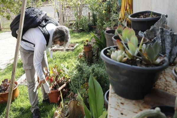 Com apoio da comunidade e ações municipais, Cascavel registra redução no números de casos da dengue
