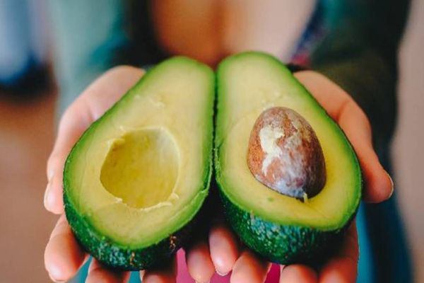 Cresce produção de Abacate no Brasil