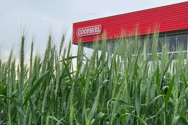 Coopavel apresenta melhor do seu portfólio no Show Rural de Inverno