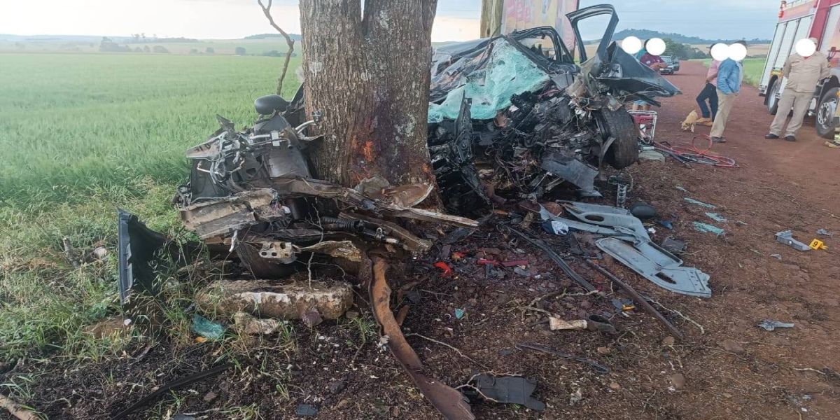 Homem de 58 anos morre após carro colidir violentamente em arvore na PR-495
