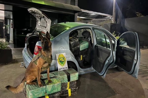 Operação Hórus: BPFRON apreende quase 500 kg de maconha em abordagem na PR-317