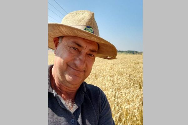 Trigo: Produtores que escolheram cultivares no Show Rural obtêm bons resultados