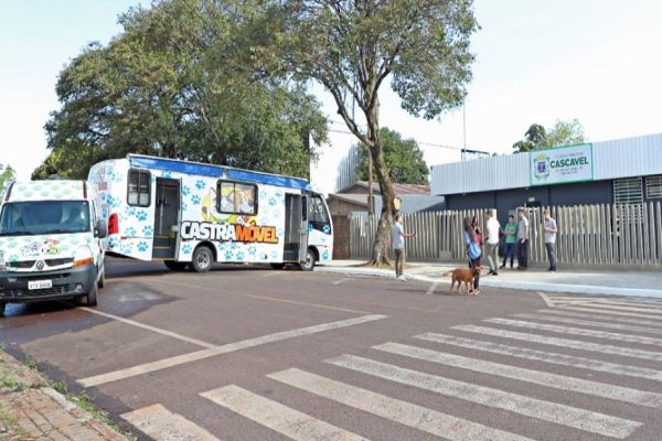 Um ano após inauguração da sede, Bem-Estar Animal contabiliza mais de 2 mil atendimentos