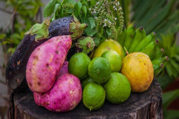 Pequenos agricultores recebem certificados de produtores orgânicos no Paraná