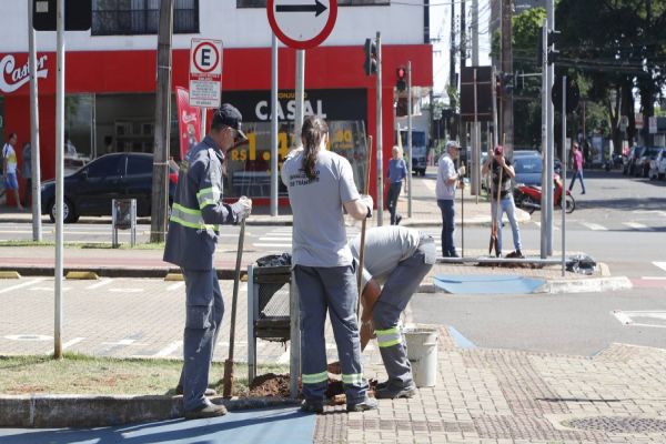 Transitar já inicia trabalhos na região central de Cascavel para dar fluidez ao trânsito
