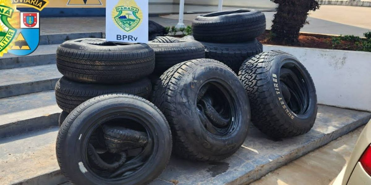 PRE intercepta veículo carregado com pneus contrabandeados na rodovia PRC-272