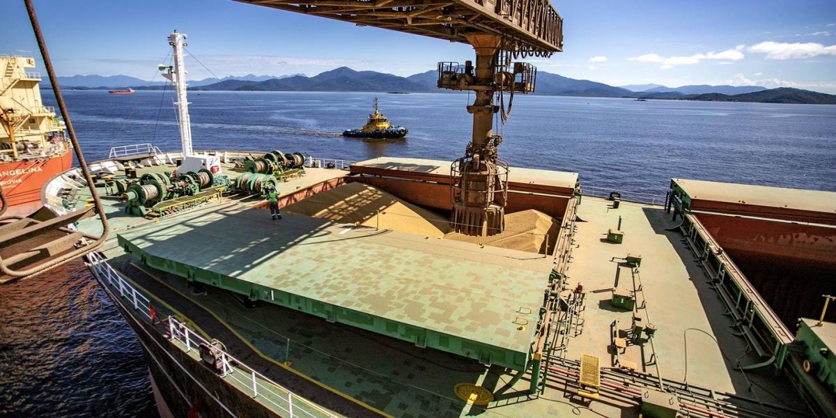 Complexo soja movimentou US$ 34 milhões por dia no Porto de Paranaguá em 2023