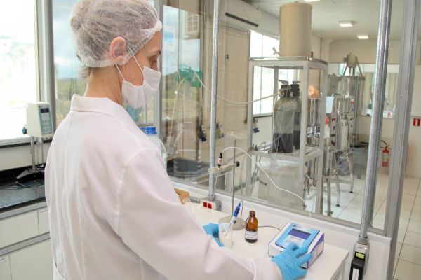 Paraná lidera contratação de mulheres entre os estados do Sul em 2023, aponta Caged