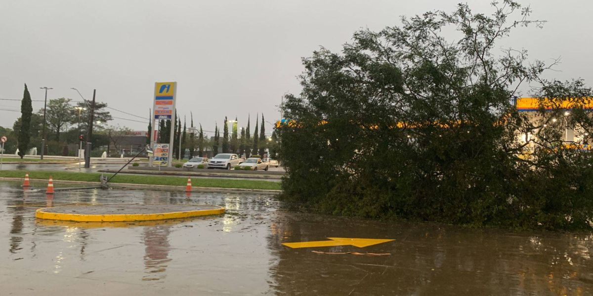 Copel mobiliza mais de 150 profissionais para restabelecer energia após chuvas no oeste do Paraná