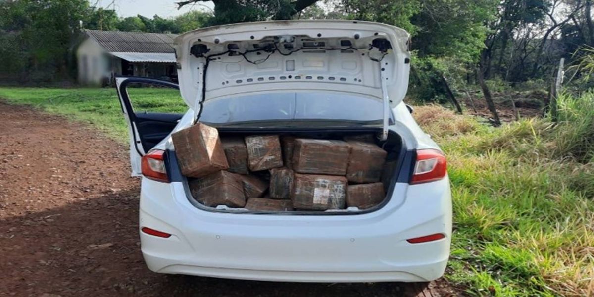 BPRv realiza apreensão de 736,500 Kg de maconha e recupera veículo furtado na PR-488