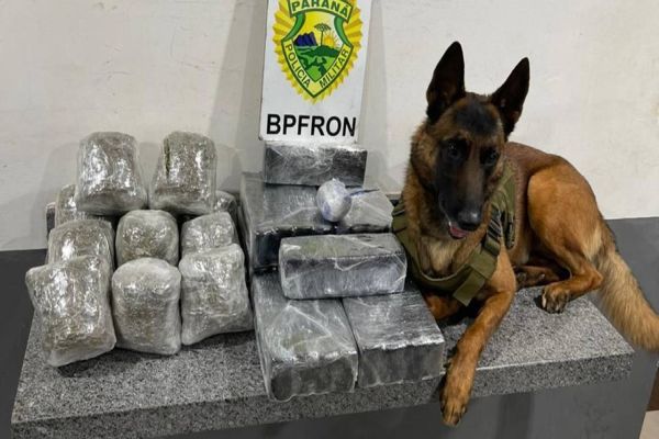 Mulher é detida em Cascavel transportando mais de 23 quilos de droga em ônibus interestadual