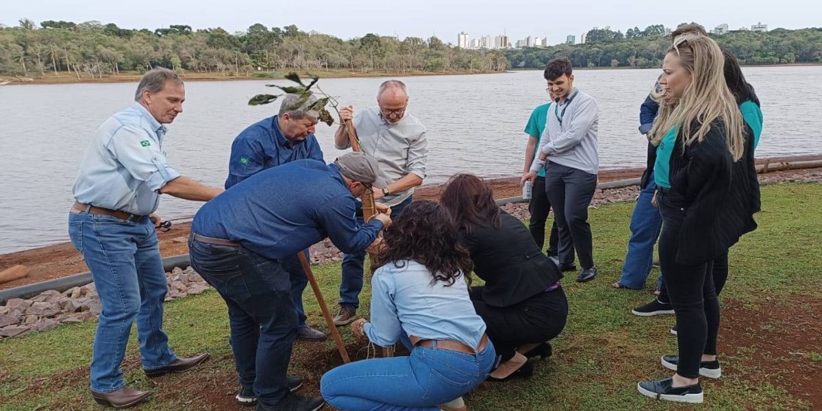 Lago Municipal de Cascavel ganha dez novos ipês-rosas