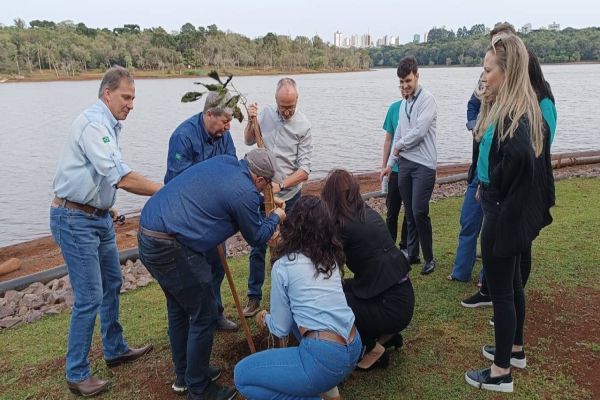 Lago Municipal de Cascavel ganha dez novos ipês-rosas