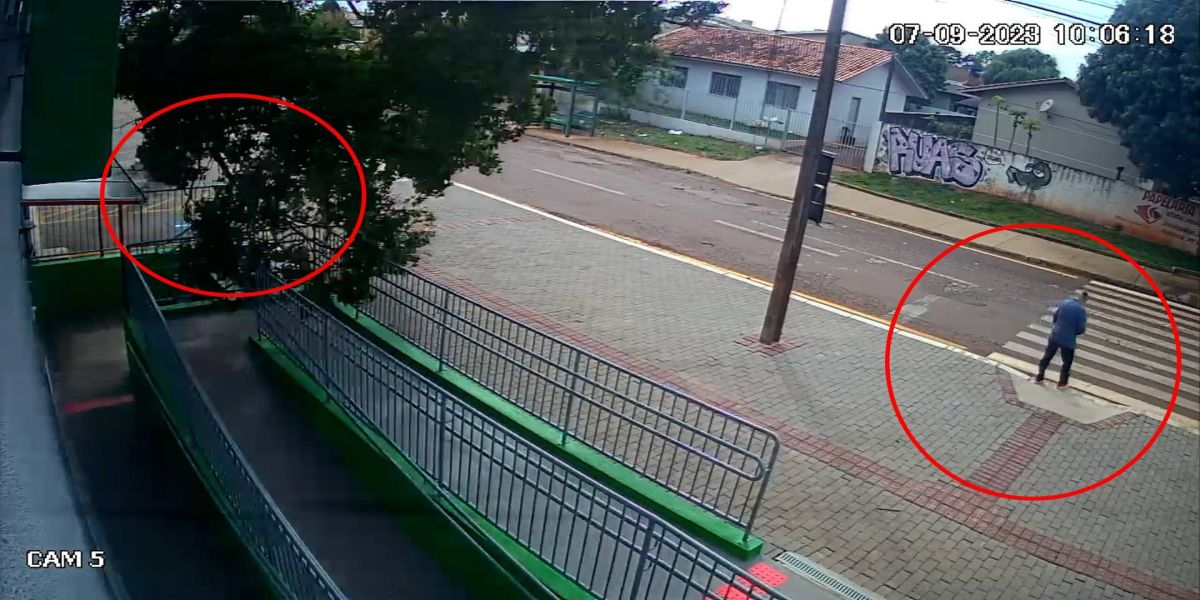 Árvore de grande porte cai e atinge escola municipal no Bairro Santo Onofre em Cascavel