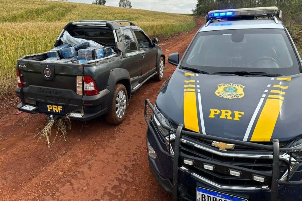 Imagem referente a notícia: PRF realiza apreensão de 780 Kg de maconha em perseguição na BR-277 em Cascavel