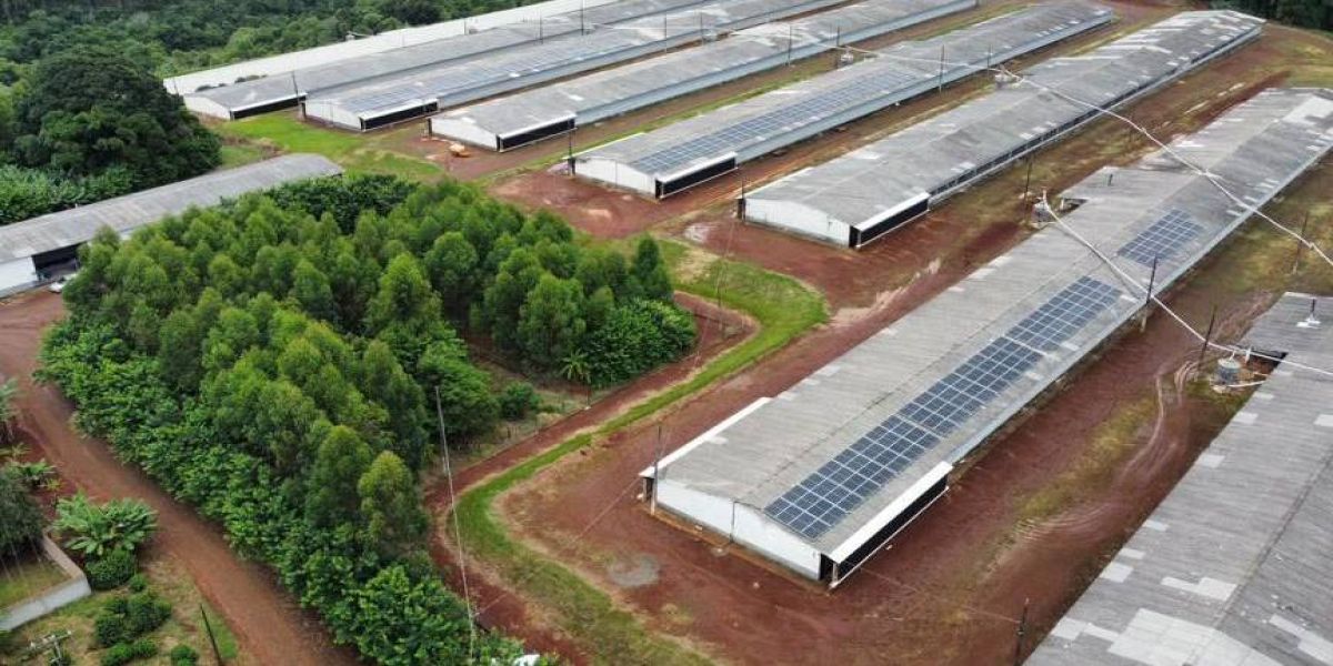 BRDE financiou R$ 1,2 bilhão em projetos de energia limpa no Paraná desde 2019