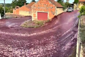 Imagem referente à notícia: Inundação Inusitada: Ruas de cidade portuguesa são tomadas por "Rio de Vinho"