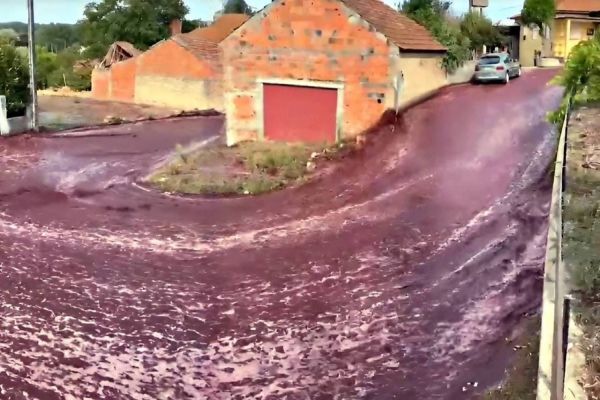 Imagem referente a notícia: Inundação Inusitada: Ruas de cidade portuguesa são tomadas por "Rio de Vinho"