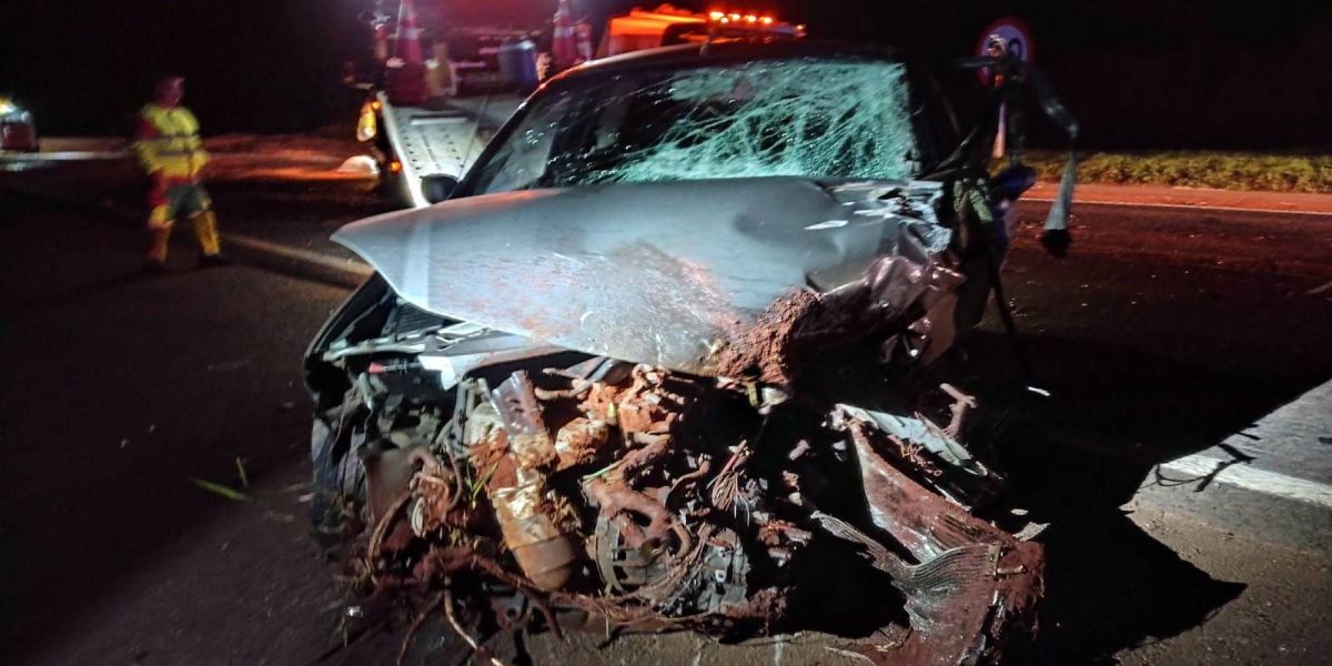 Motorista sai ileso após grave acidente com caminhão carregado com tábuas de pinus na BR-277