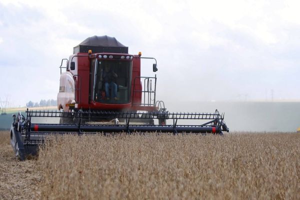 Após apelo do Paraná e setor produtivo, Mapa altera calendário de semeadura de soja