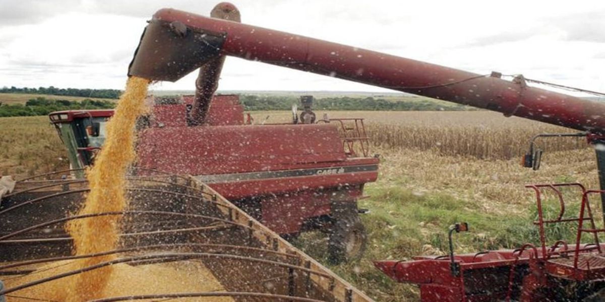 FAEP orienta produtores sobre renegociação de dívidas