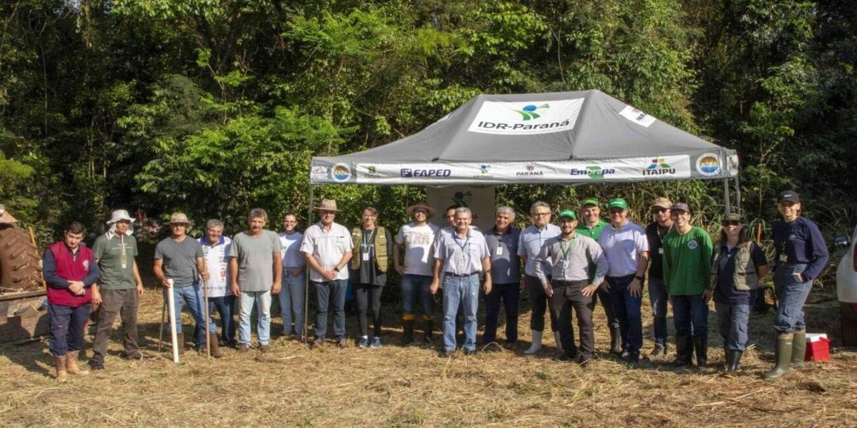 Recuperação de nascente e plantio de nativas marcam o Dia da Árvore em Toledo