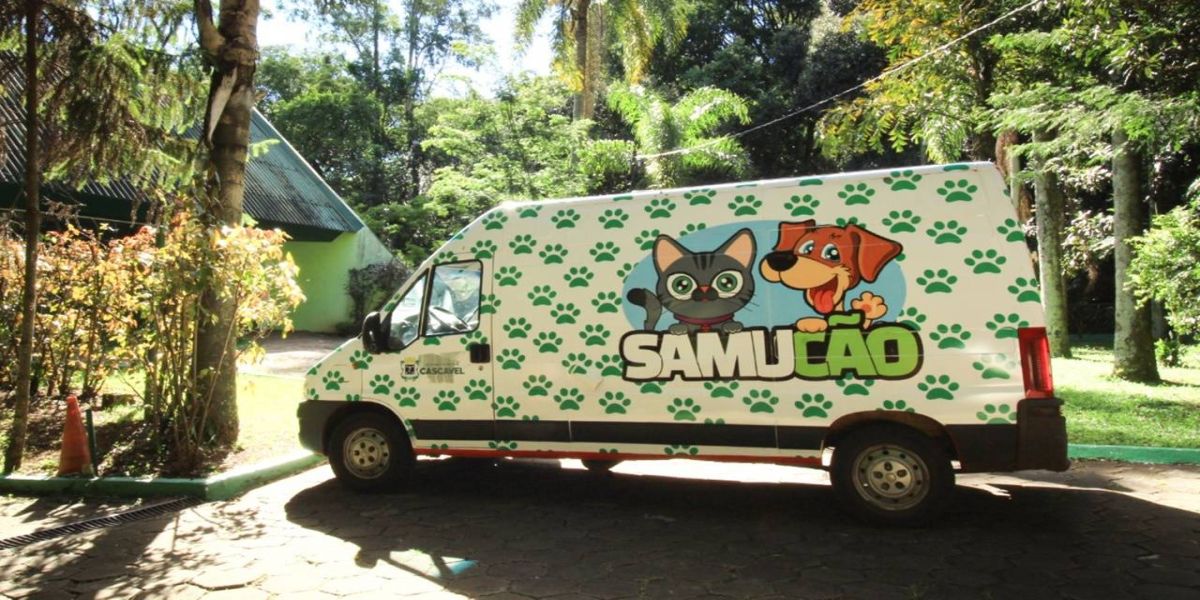 Comissão de Proteção e Direito dos Animais pede retorno imediato do Samucão