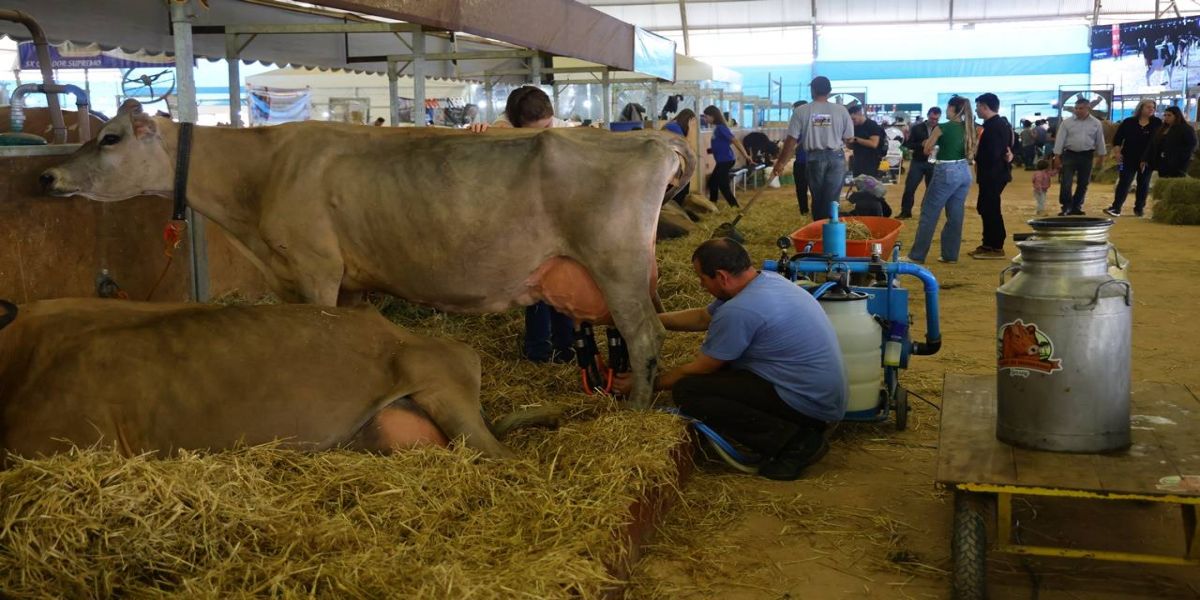 Paraná tem nove cidades na liderança da produção agropecuária nacional