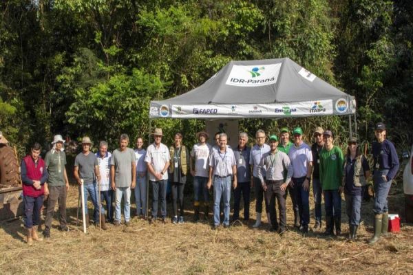 Recuperação de nascente e plantio de nativas marcam o Dia da Árvore em Toledo