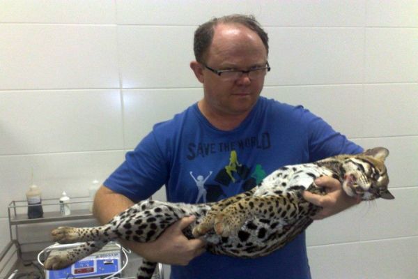 Comunidade veterinária lamenta a perda do Dr. Ildo José Pogorzelski, defensor dos animais