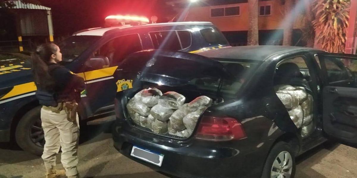 PRF apreende 204 quilos de flor de maconha em Santa Terezinha de Itaipu
