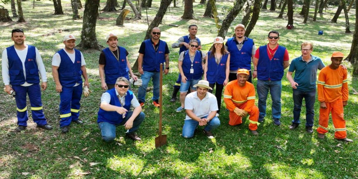 Semana da Árvore: Município e Copel juntam-se para o plantio de mudas