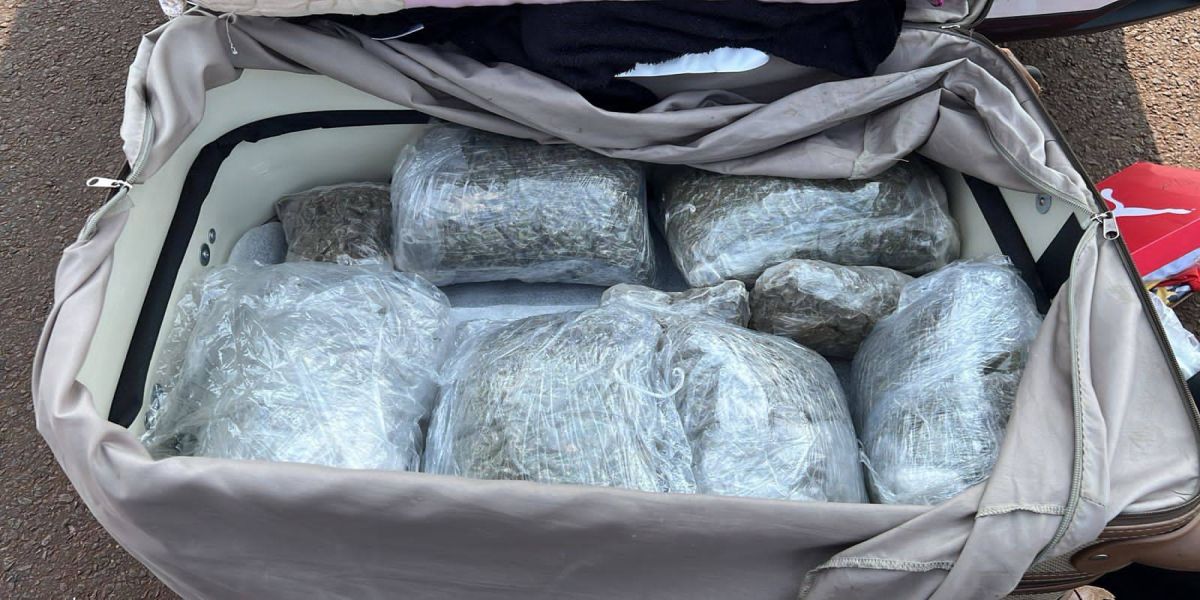 Passageira de ônibus é presa com 19 kg de maconha no oeste do Paraná