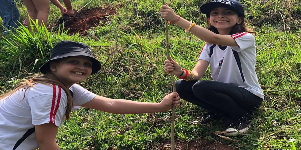 Paraná supera meta e distribui mais de 97 mil mudas durante a Semana da Árvore